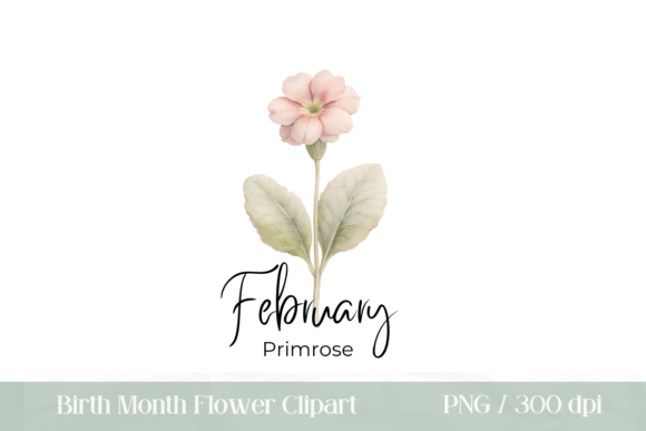 Download Birth Month Flower February Primrose - February Collection
